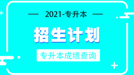 2021年邢臺(tái)學(xué)院專接本招生計(jì)劃