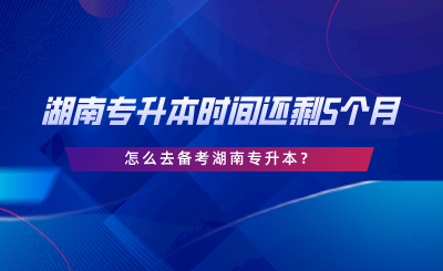 湖南專升本時(shí)間還剩5個(gè)月，怎么去備考湖南專升本.png