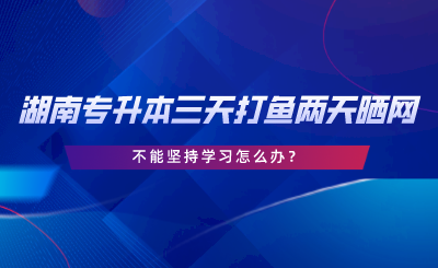 2024年湖南專升本三天打魚兩天曬網(wǎng)，不能堅持學(xué)習(xí)怎么辦.png