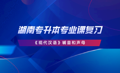 湖南專升本專業(yè)課復(fù)習(xí)《現(xiàn)代漢語(yǔ)》輔音和聲母.png