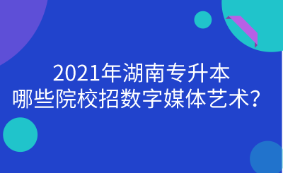 2021年湖南專升本哪些院校招數(shù)字媒體藝術(shù)？.png