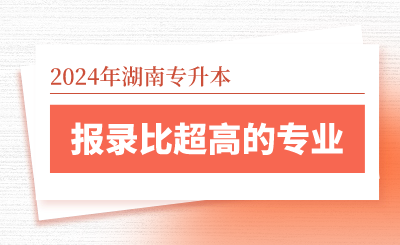 2024年湖南專升本報(bào)錄比超高的專業(yè)