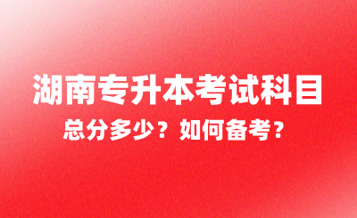 2025年湖南專升本考試科目總分多少？如何備考？