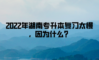 2022年湖南專升本復(fù)習(xí)太慢，因為什么？(圖1)