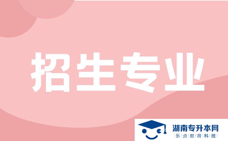 2022年湖南省單招小學道德與法治教育專業(yè)有哪些學校(圖1)