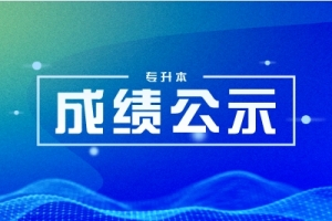 2024年湖南理工學(xué)院南湖學(xué)院專升本免試生職業(yè)技能測(cè)試成績(jī)及