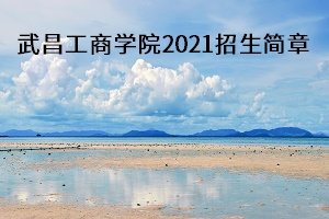 武漢工商學(xué)院招生簡章2021