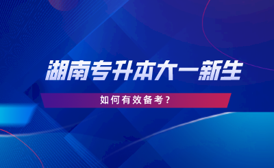 湖南專升本大一新生如何備考？新生必看指南！