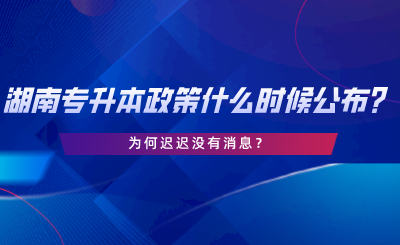 2024年湖南專升本政策什么時候公布？為何遲遲沒有消息.png